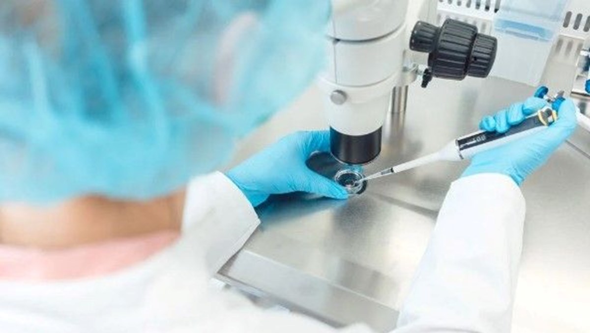 Kök hücreden sentetik insan embriyosu üretildi Kök hücreden sentetik insan embriyosu üretildi