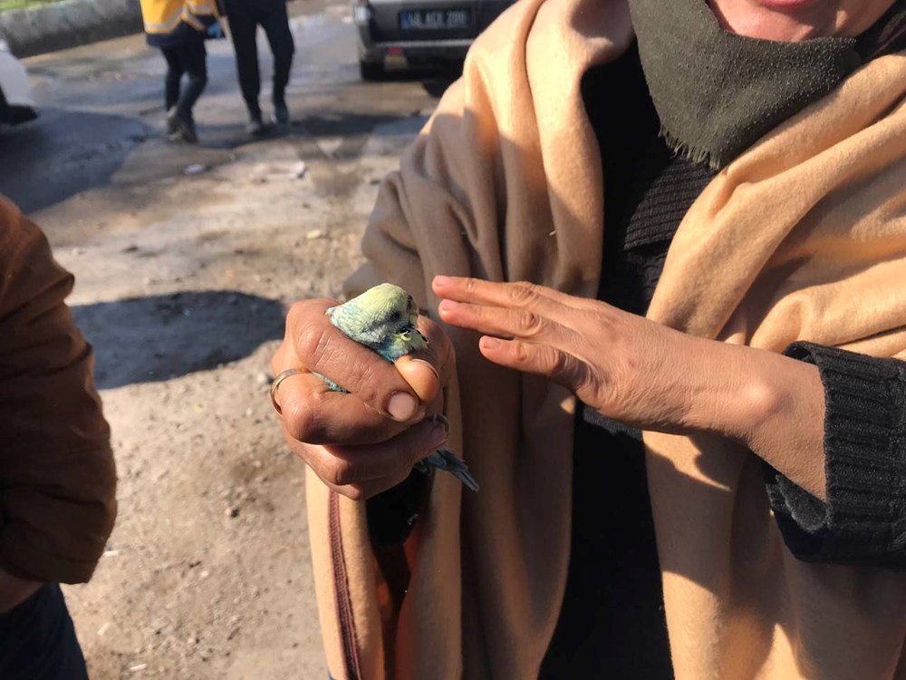 Küçük Berat, 55 saat sonra enkazdan elinde tuttuğu muhabbet kuşuyla çıkarıldı - 3