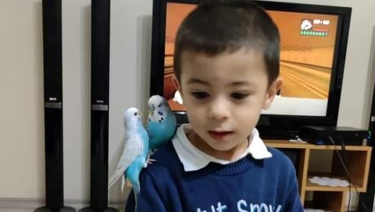 2 yaşındaki çocuk 5. kattan düşerek hayatını kaybetti 2 yaşındaki çocuk 5. kattan düşerek hayatını kaybetti