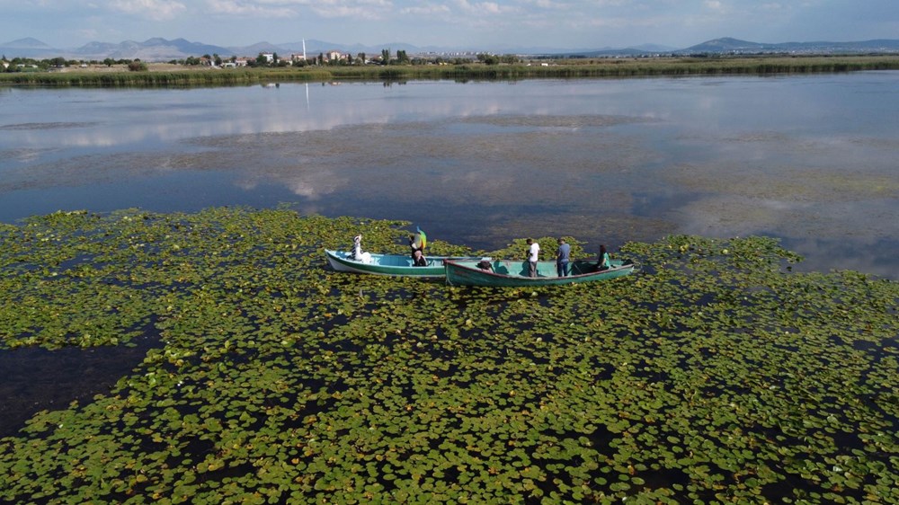 Türkiye'nin en büyük nilüfer bahçesi: Beyşehir Gölü - 16