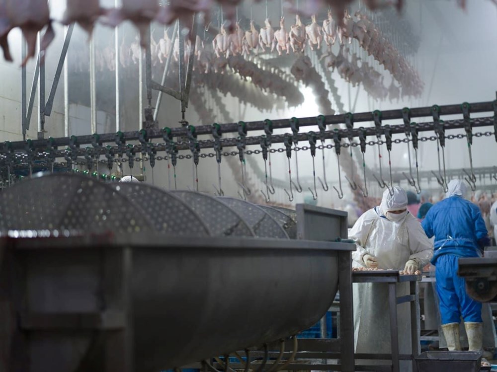 Pelé'den Ukrayna'daki harabe bir eve: 2023 Sony Dünya Fotoğrafçılık Ödülleri'nin finalistleri açıklandı - 17