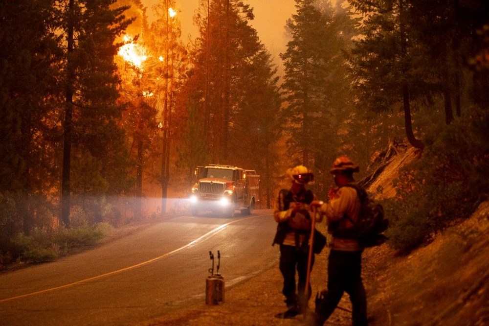 California'da orman yangınları evleri küle çevirdi - 9