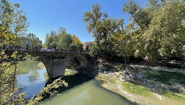 Bartın Irmağı'nda balık ölümleri: İnceleme başlatıldı