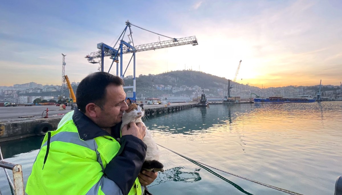 Gemide dünyaya gelen kedi tayfanın yol arkadaşı oldu