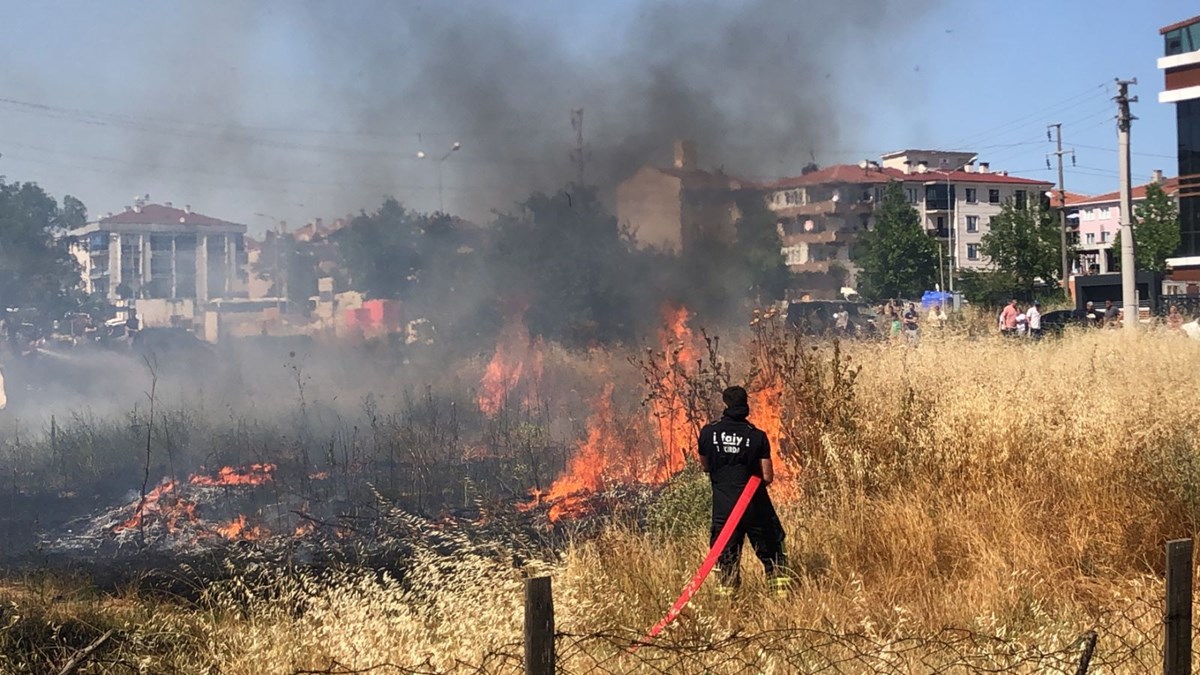 Tekirdağ'da 5 dönümlük arazide korkutan yangını! Son anda kurtarıldılar