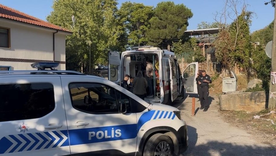 Bursa'da kestane kavgasında kan aktı