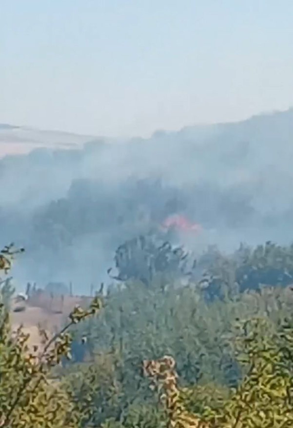 Manisa’da orman yangını: Alevlerle mücadelede ikinci güne girildi - 4