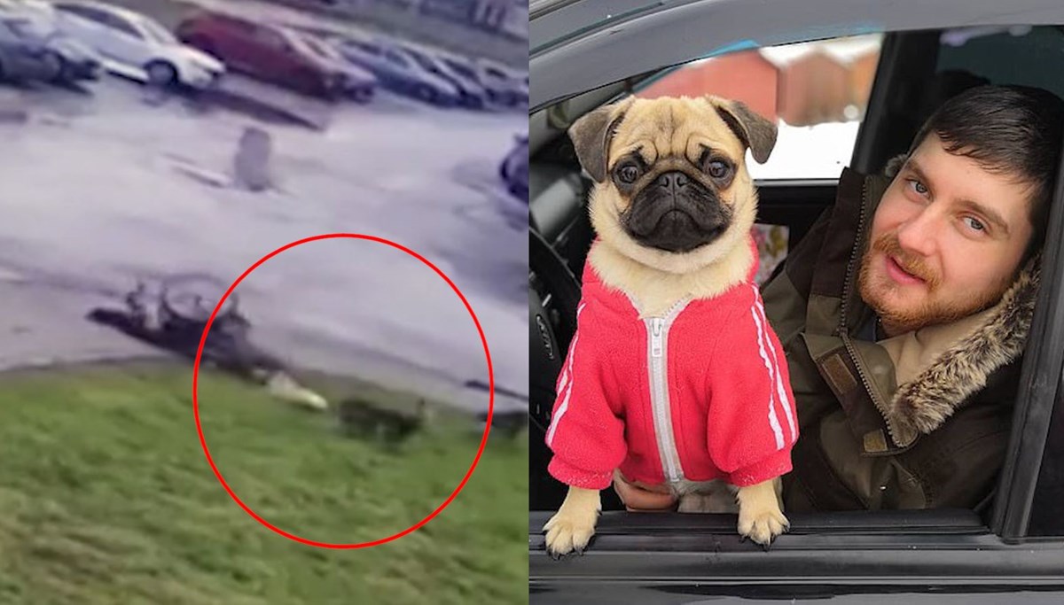 Engelli sporcunun köpeğini koruma mücadelesi