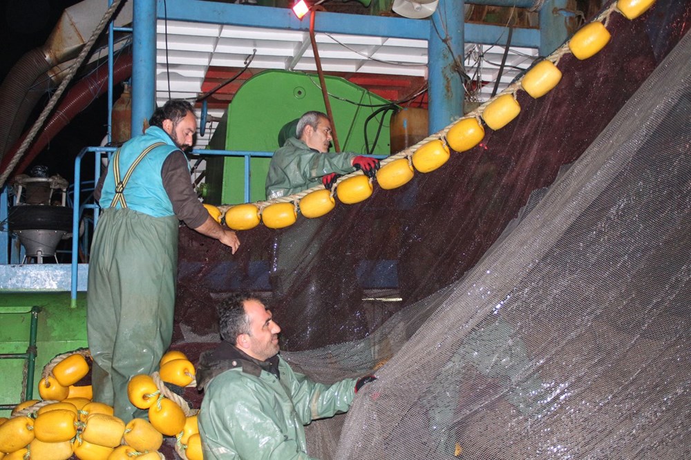 Yasak sonrası hamside ilk fiyatlar - 6