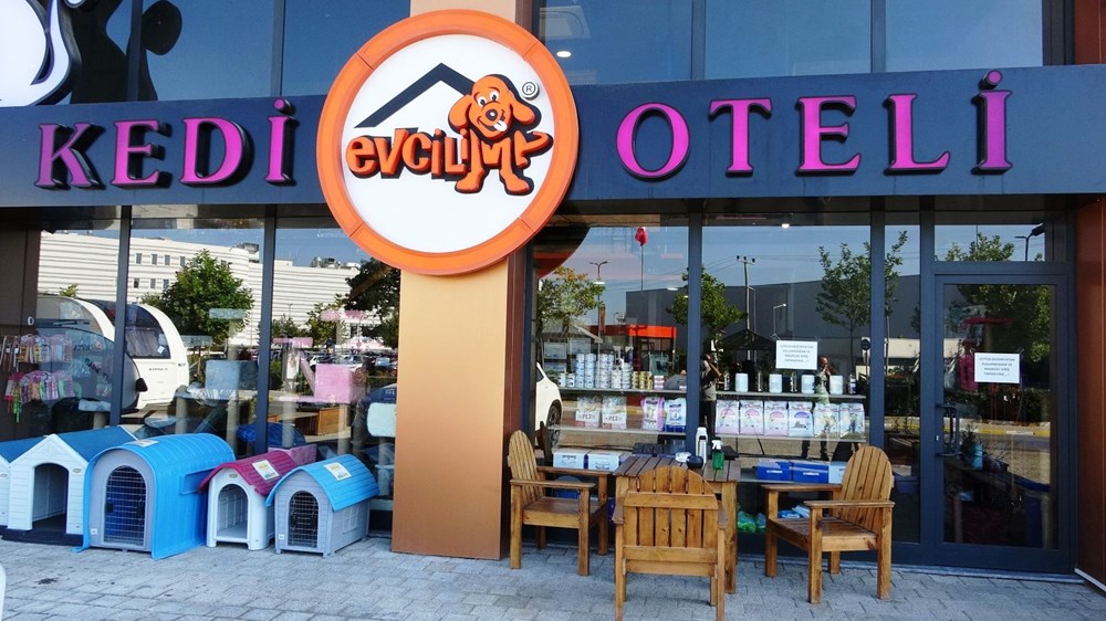 Kedi Oteli bayramda tamamen doldu Magazin Haberleri NTV