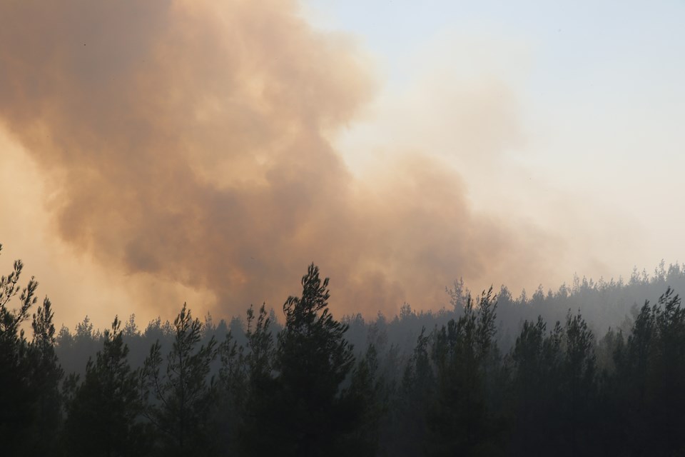 Antalya, Adana, Mersin, Muğla ve Osmaniye'de orman yangınları - 5