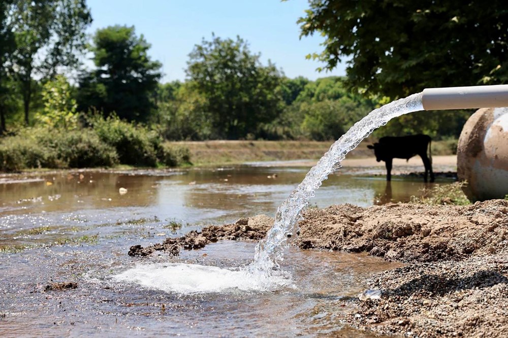 Sapanca Gölü alarm veriyor: Su 60 metre çekildi - 3