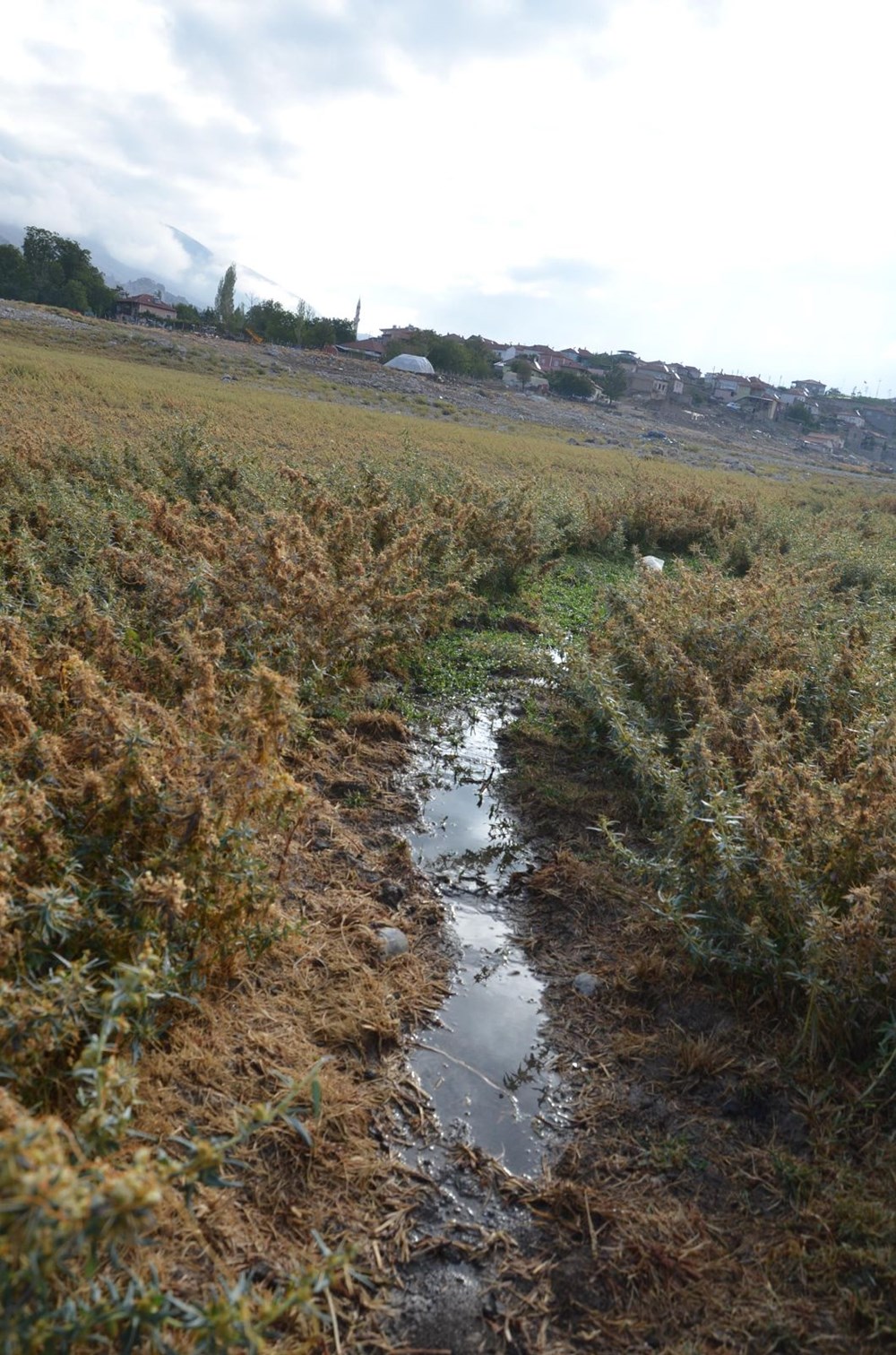 Konya'da baraj gölüne kanalizasyon suyu - 8
