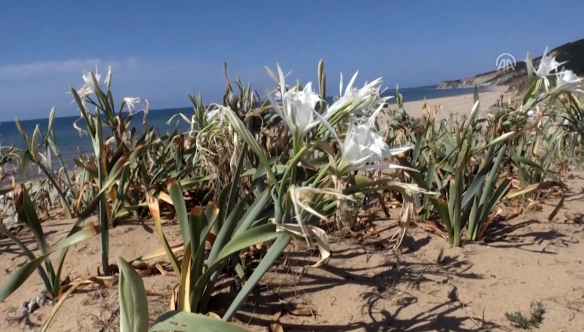 Koparmanın cezası 73 bin lira