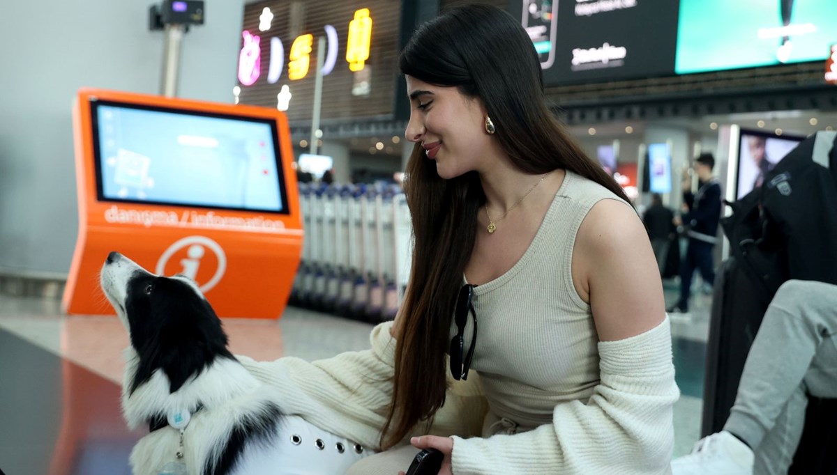Türkiye'de ilk: Terapi köpekleri İstanbul Havalimanı'nda iş başı yaptı