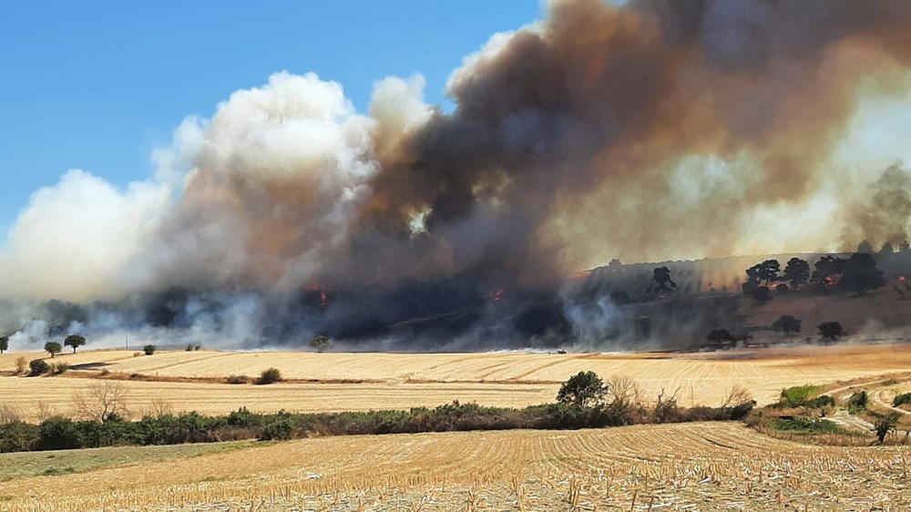 Antalya, Çanakkale ve Konya'da orman yangını - 4