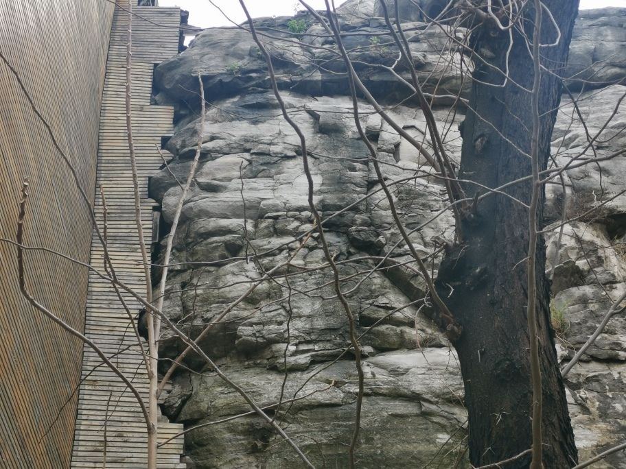 Yandas Yazar Osmanli Da Kole Kadin Pazarini Kadinin Topluma Katilimi Gordu Ulusal Arayis Haber