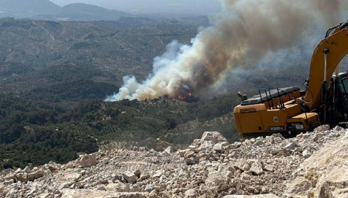 Bolu, Çanakkale, Manisa, Mersin ve Aydın'da orman yangını: Bir köy boşaltıldı