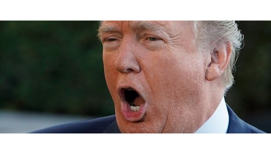Trump: Onları hapiste bırakmalıydım