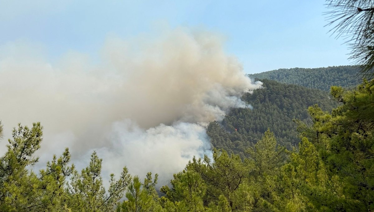 Alanya ve Köyceğiz'de orman yangını