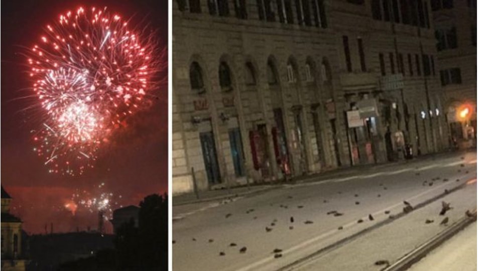 Roma'da havai fişekler yüzlerce kuşun ölümüne neden oldu
