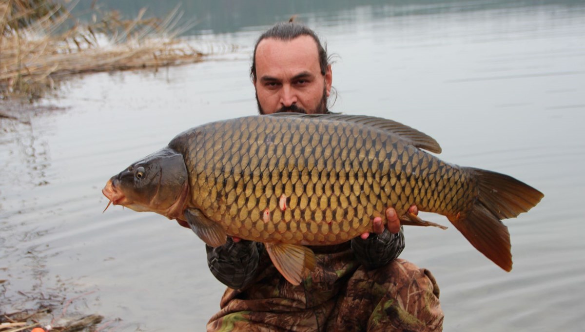 Görenler şaşırdı: 22 kiloluk dev sazan balığı yakaladılar