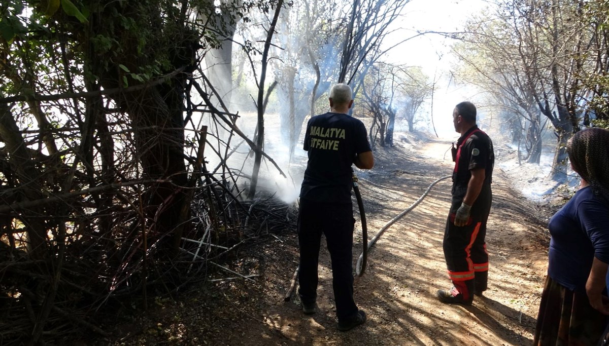 Çöpleri yakmak istedi: Meyve bahçelerini küle çevirdi