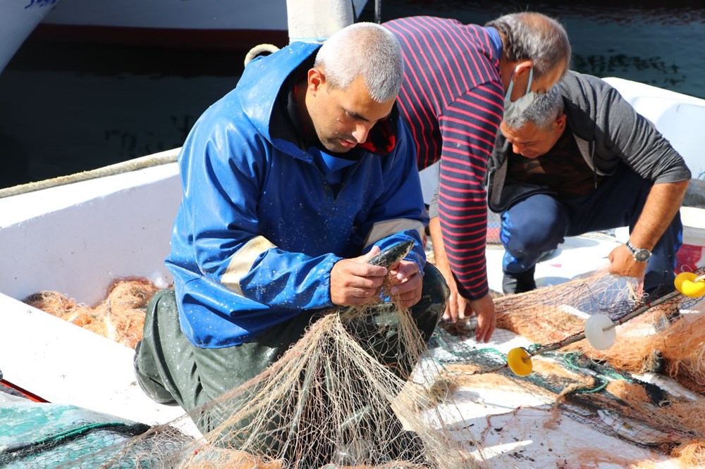 Marmara Denizi'nde lüfer bolluğu - 11