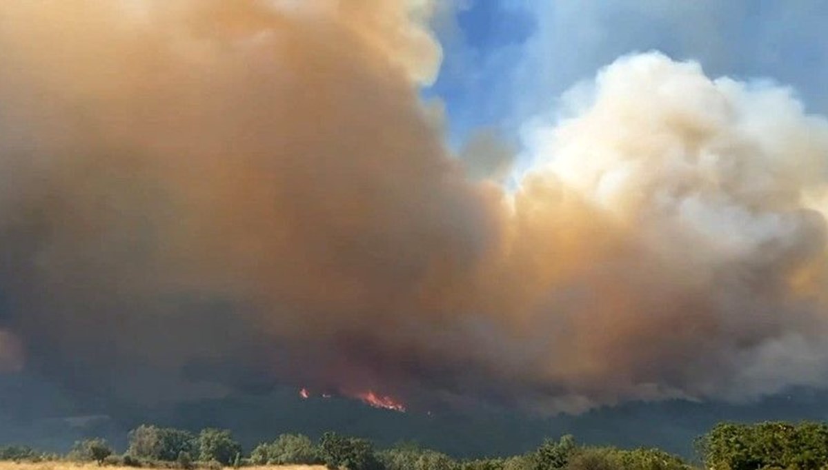 Yangın nedeniyle kapatılan İpsala Sınır Kapısı yeniden açıldı