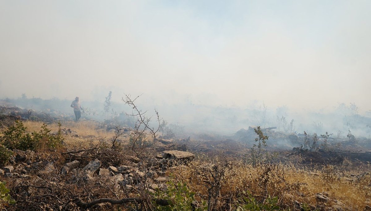 Mardin'de alevler 5 saatte söndürüldü