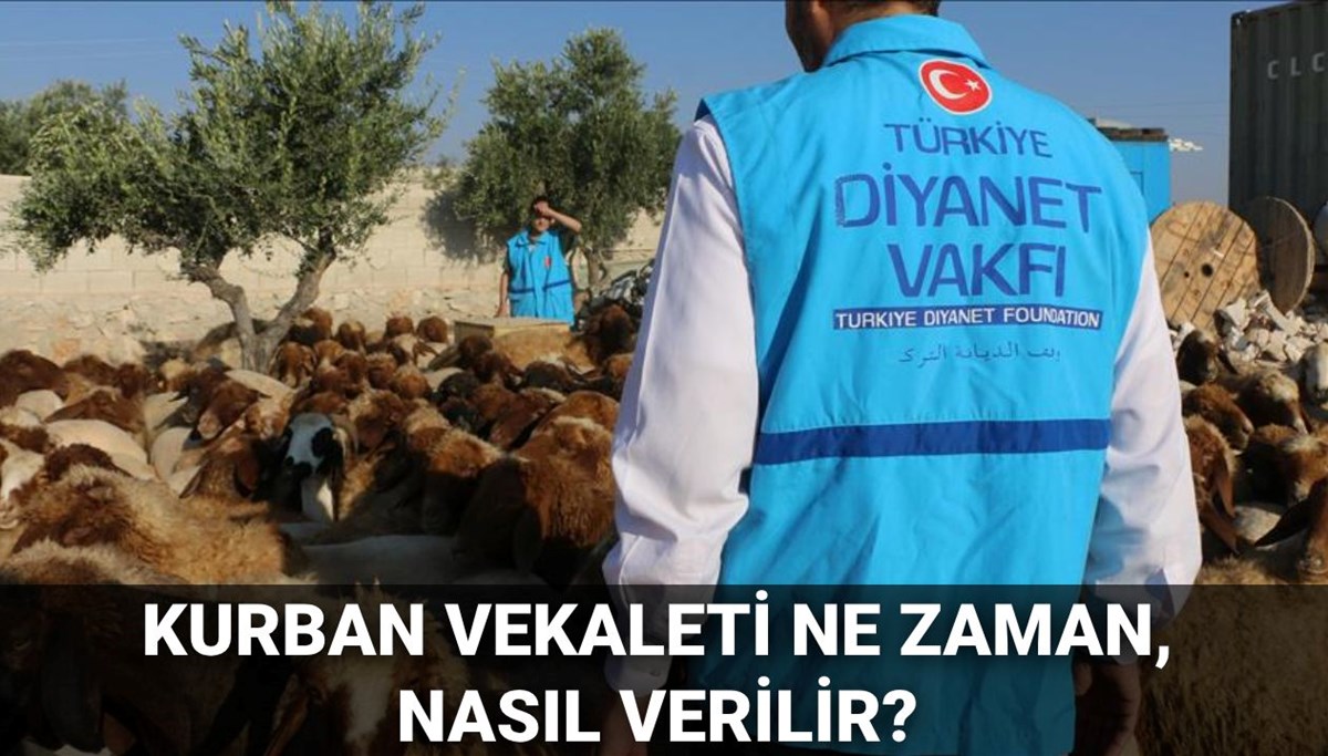 Kurban vekaleti ne zaman ve nasıl verilir? 2025 Diyanet'e göre vekaletle kurban kesimi