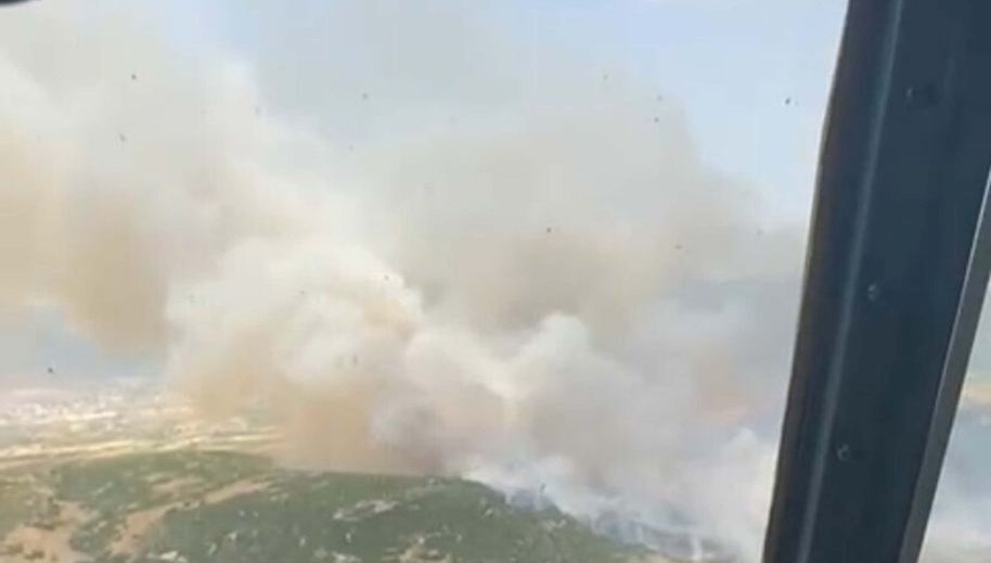 İzmir'de makilik yangını