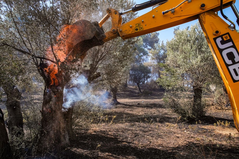 Türkiye alevlerle mücadele ediyor: 3 ilde orman yangını, ekiplerin müdahalesi sürüyor - 7