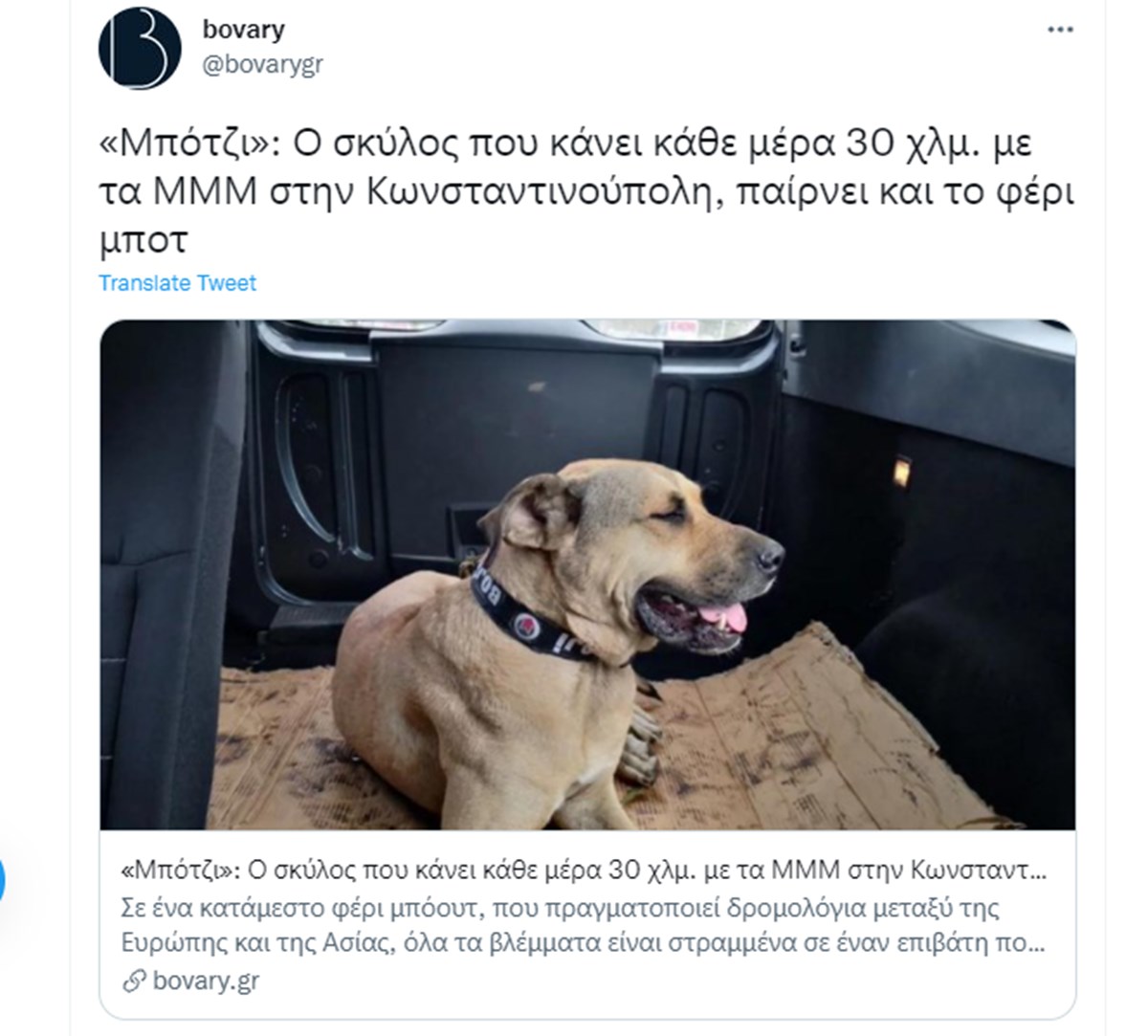 L5E_3FROnkea__PsDPesmw.jpg