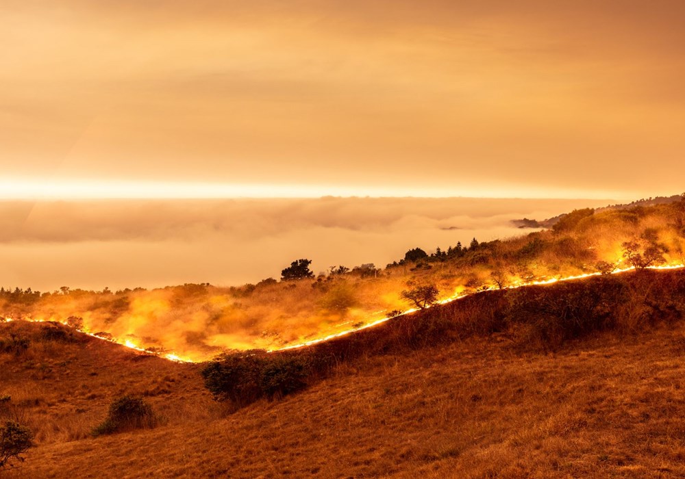 Bilim insanlarından önemli uyarı: Zombi yangınların sayısı artacak - 3