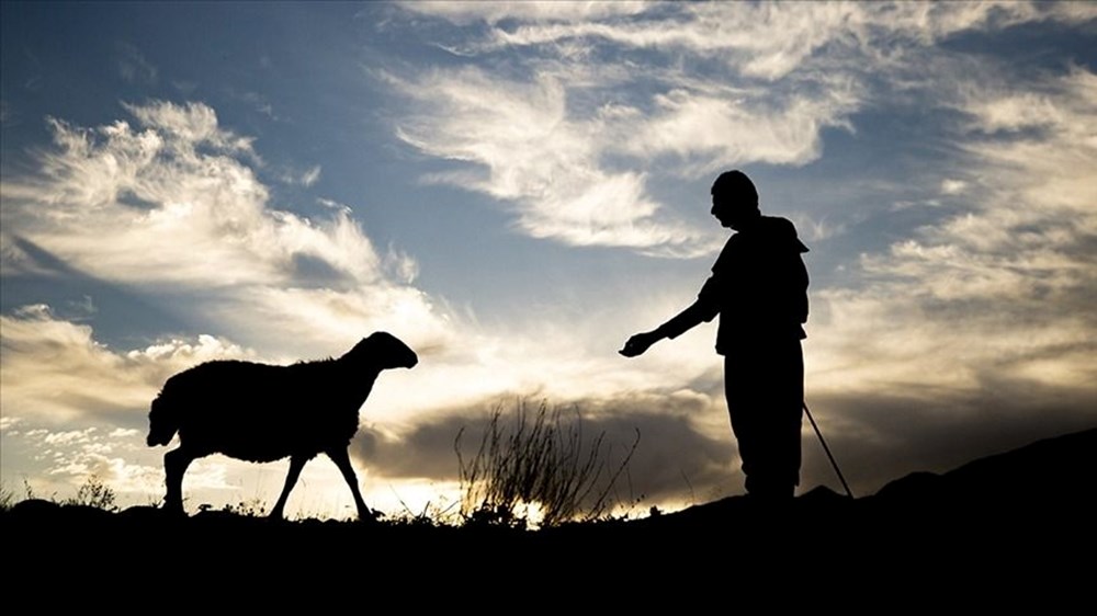 L7Ov5FP7REC3hUps5XIqsw