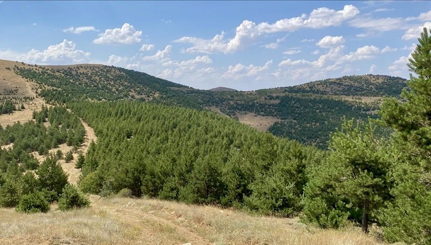 OGM'de iki bölge müdürü görevden alındı