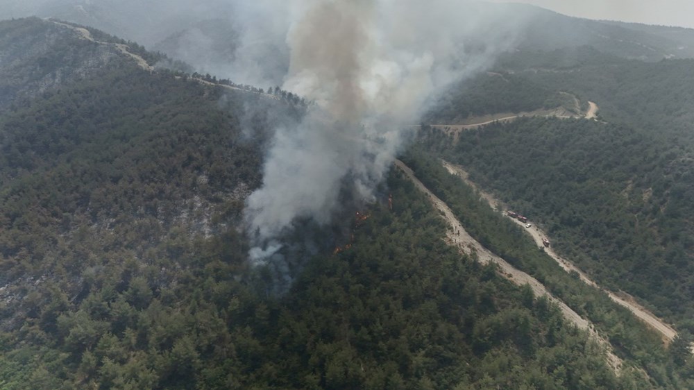 Sakarya-Bilecik orman yangınında son durum: Alevler yeniden büyüdü, köylerde anons yapılıyor - 4