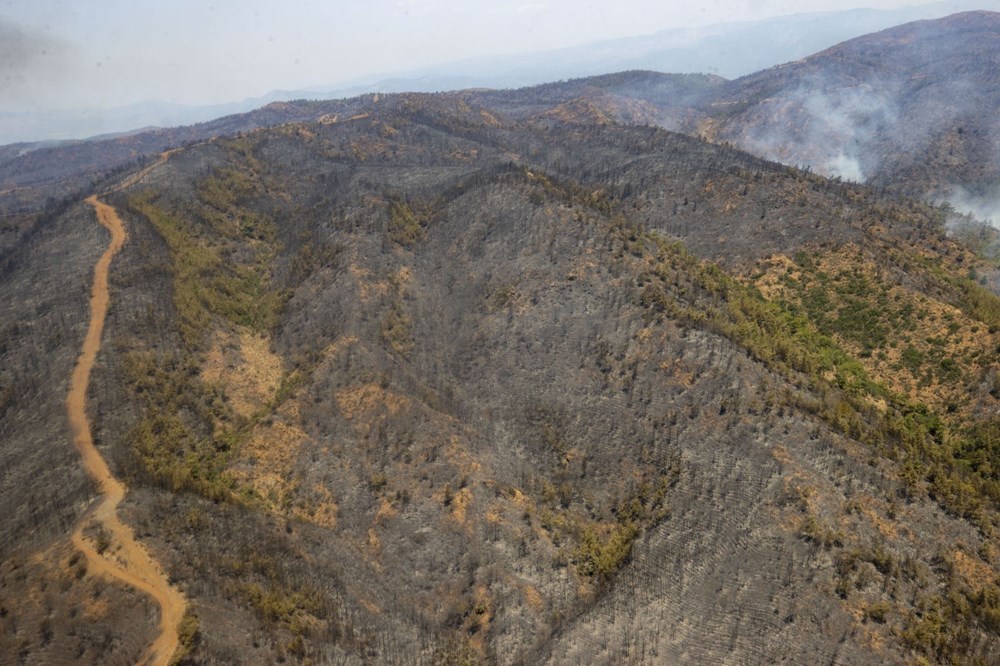Yangının başladığı bölge ve yanan ormanlık alan havadan görüntülendi - 26