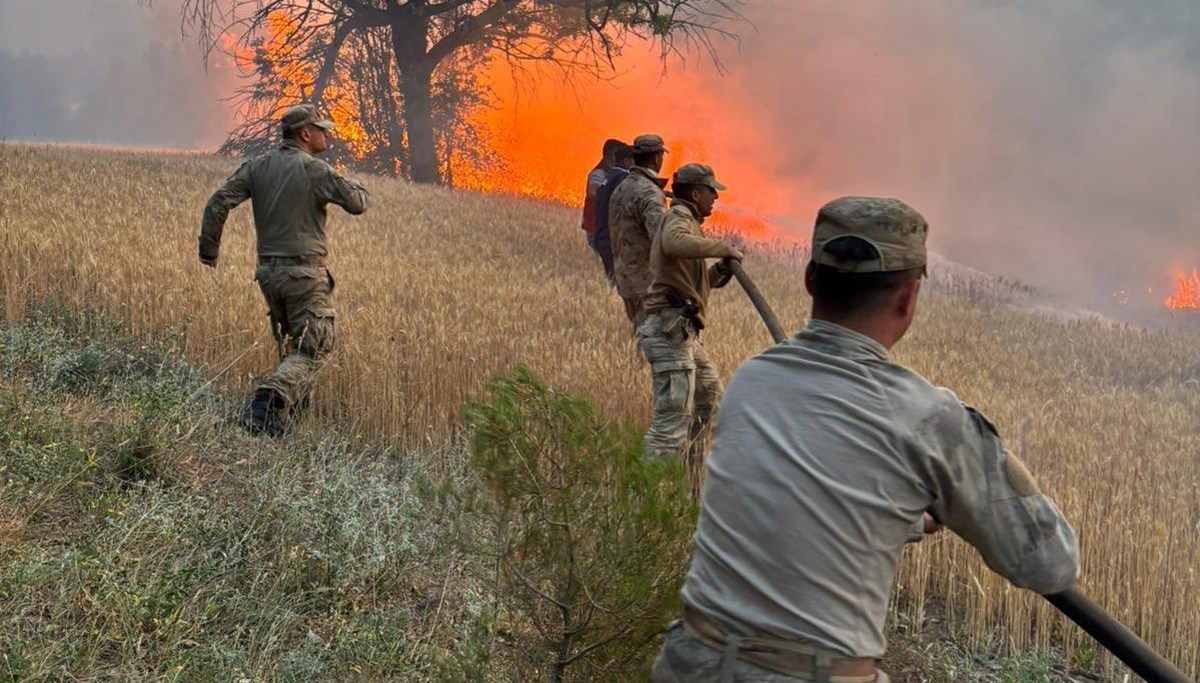Orman yangınları neden can alıyor?