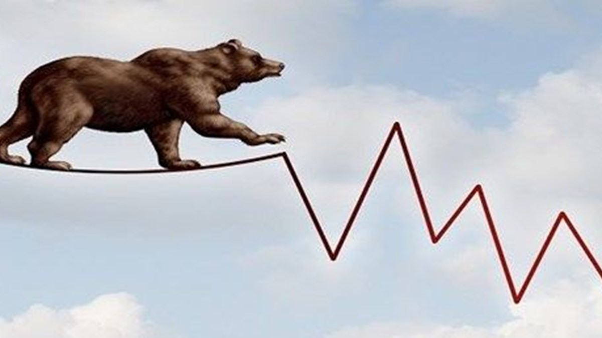 Borsa &#39;ayı piyasası&#39;na girdi (Ayı piyasası nedir?) | NTV