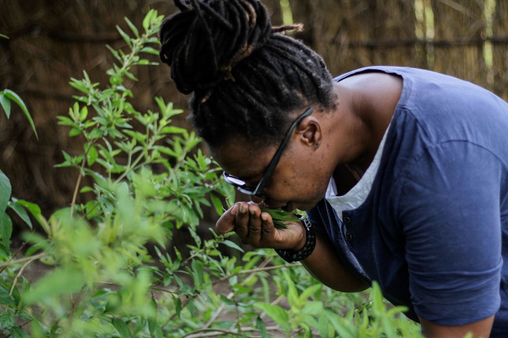 The plant that African country hopes for, Zumbani: We would be dead if we didn't use it - 7