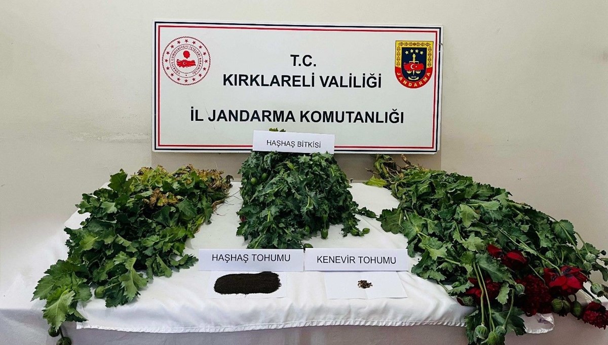 Kırklareli'nde uyuşturucu operasyonu