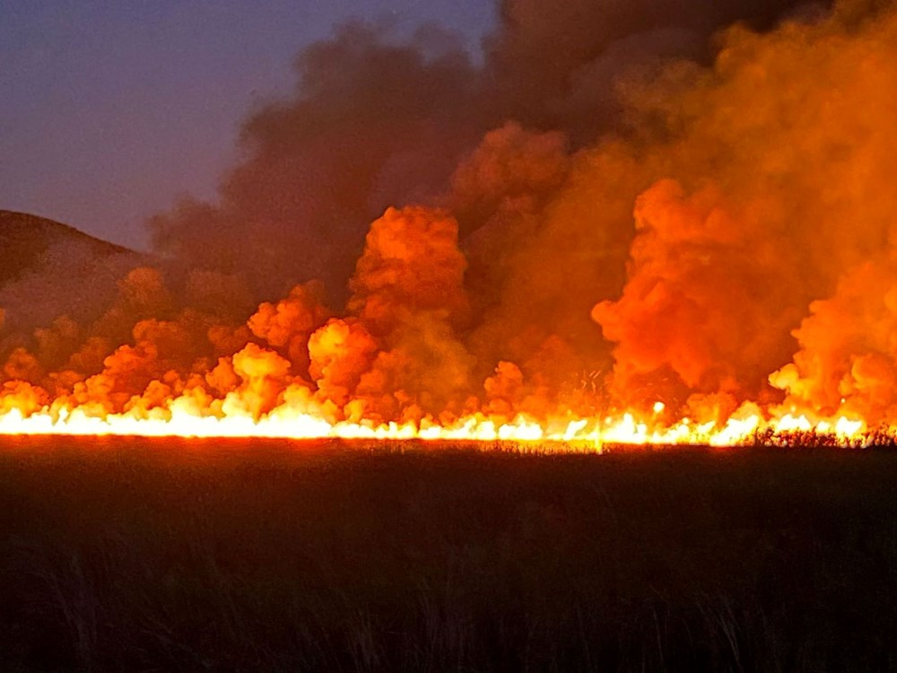 Manisa, Kahramanmaraş ve Antalya'da orman yangınları - 12