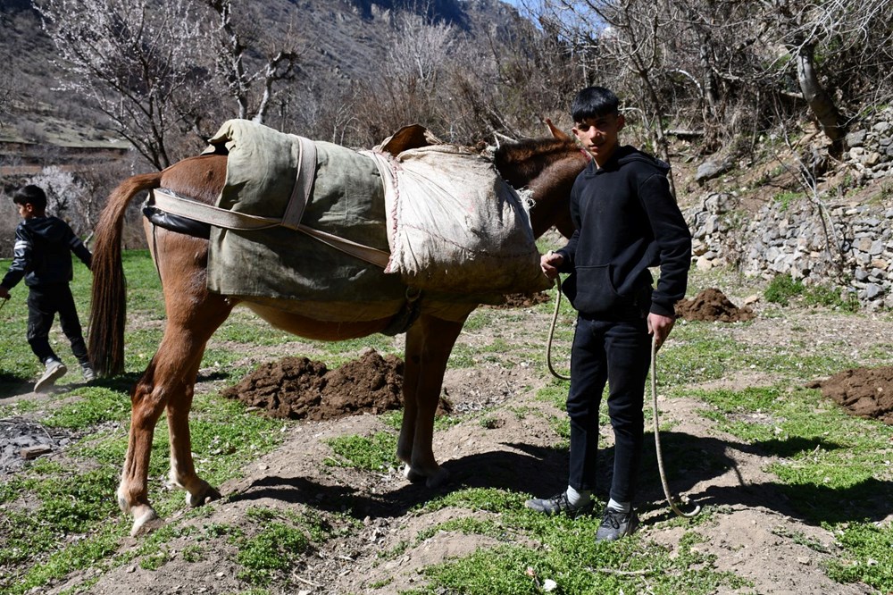 At Sırtında Miras: Gübre Taşımacılığının Asırlık Hikayesi 72 LDv3x