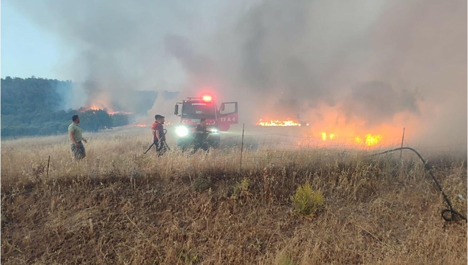 Çanakkale'deki orman yangınlarında 6 gözaltı