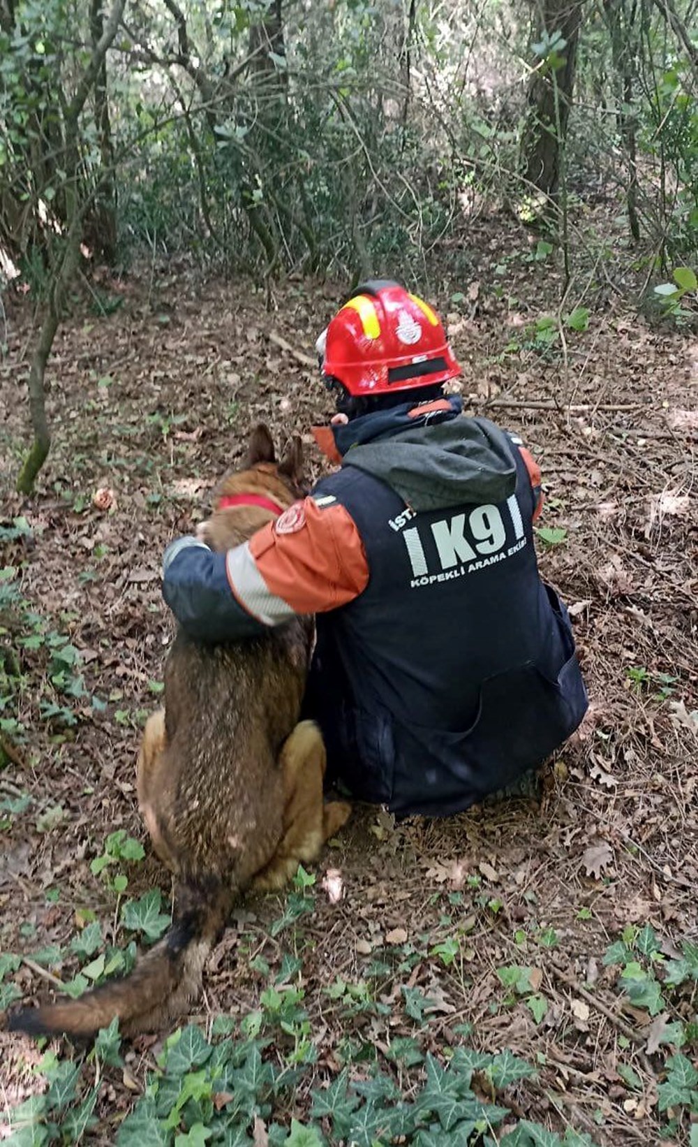Son sinyal kent ormanından geldi: İstanbul'da takımlar kayıp demans hastasını arıyor 74 LFS5uU3rJUuZZVYzmWyDvQ