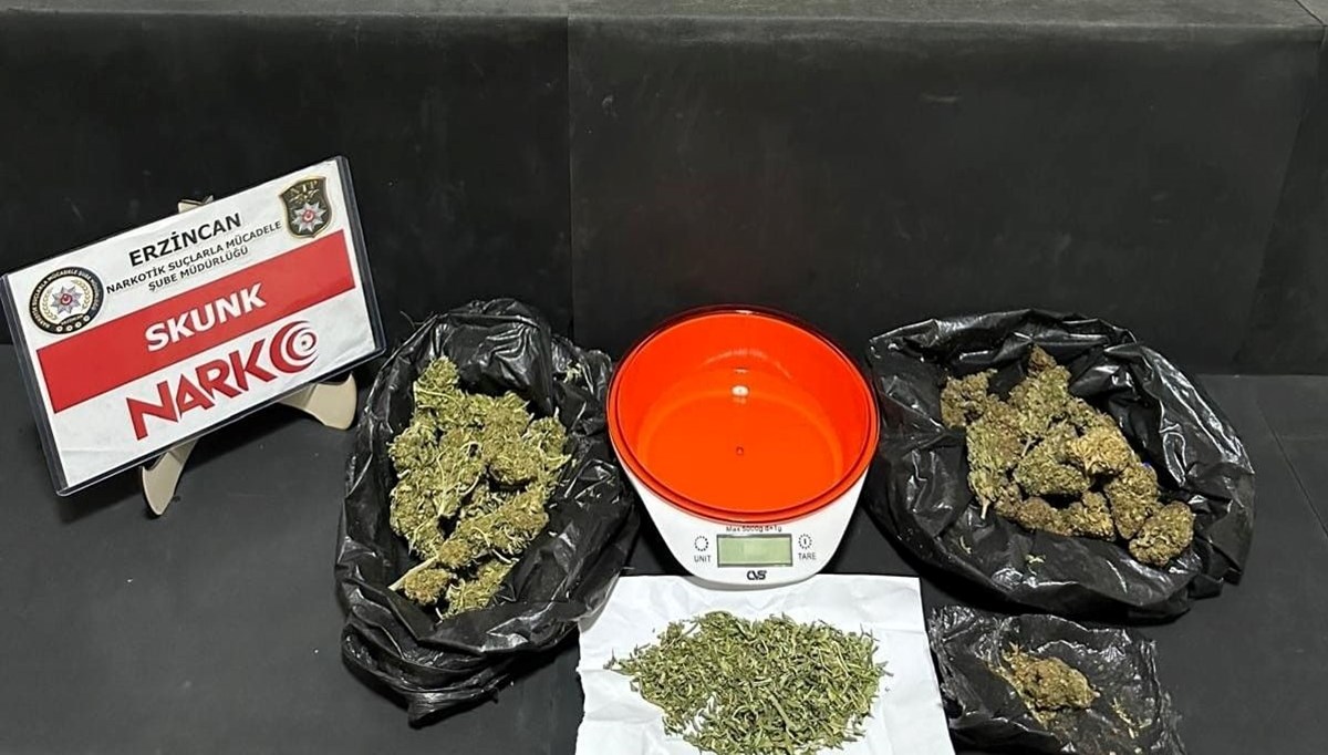 Erzincan’da 169,86 gram skunk ele geçirildi