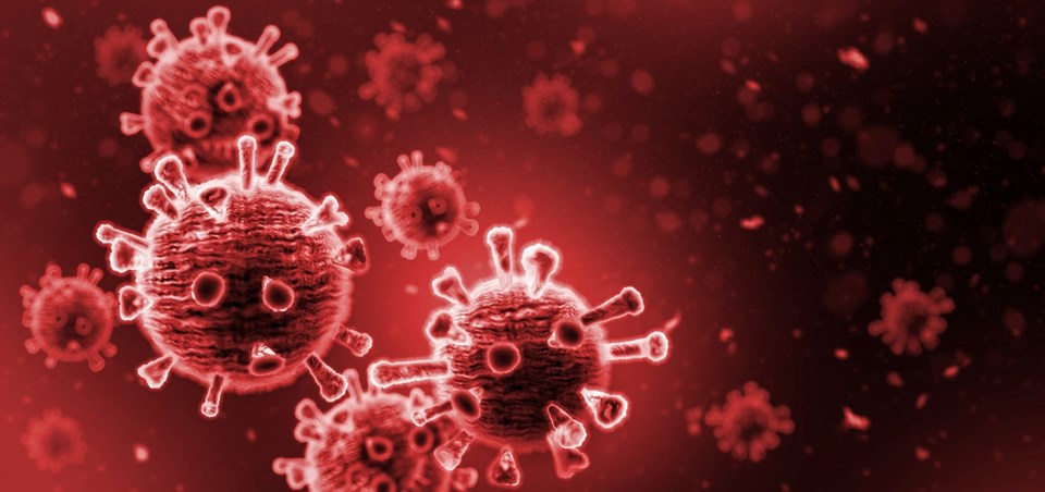 Birleşik Krallık’ta iki kişide maymun çiçeği virüsü tespit edildi - 1