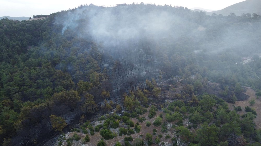 Antalya, İzmir ve Çanakkale'de orman yangınları - 10